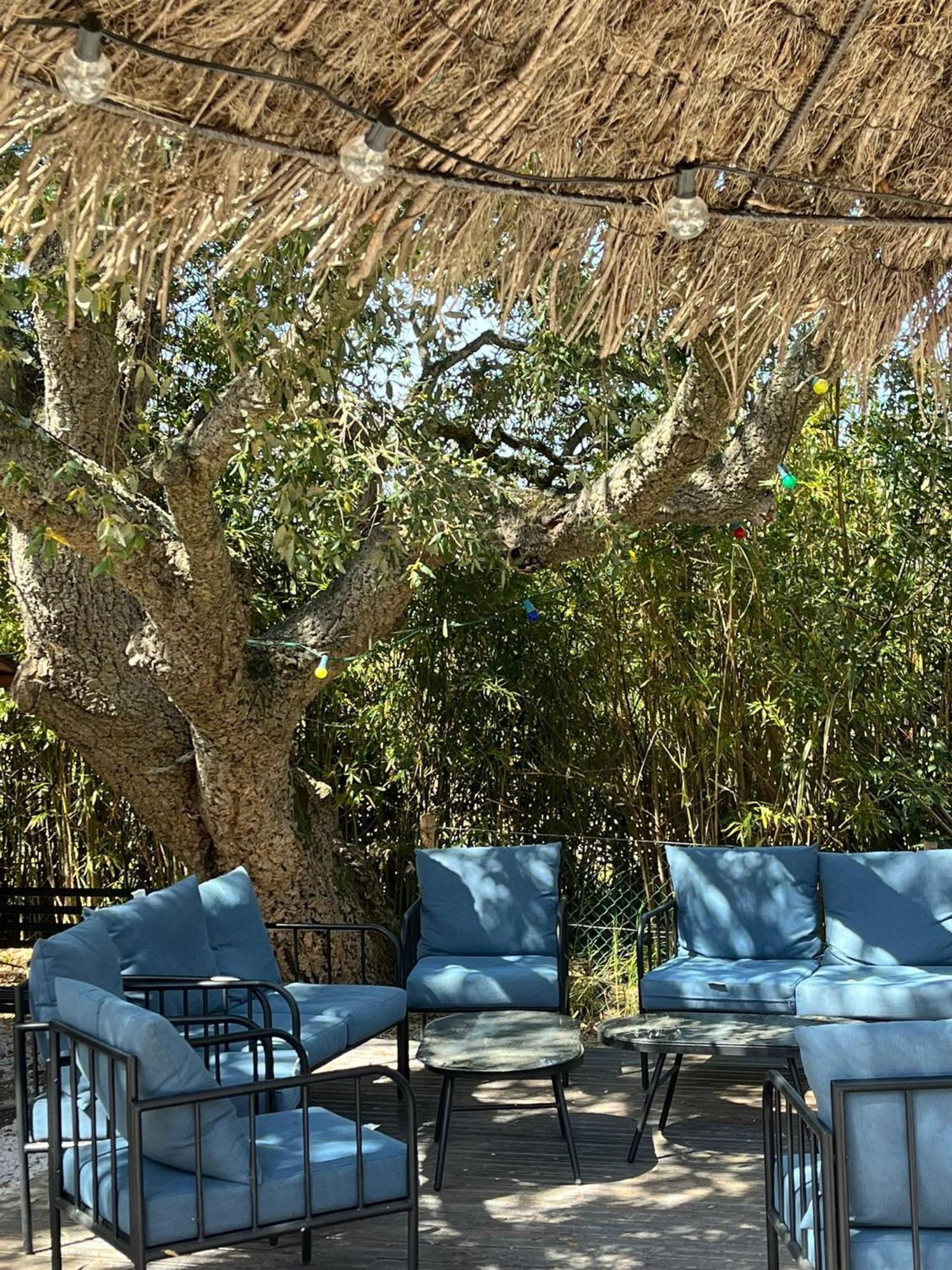 Lou Riou Village Vacances Saint-Tropez Ngoại thất bức ảnh